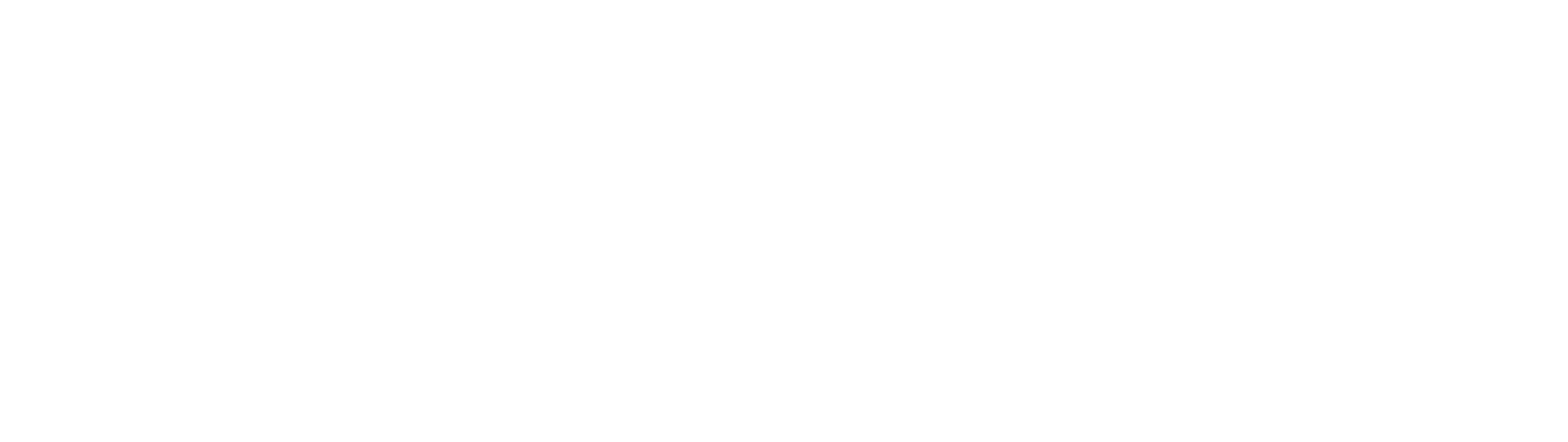 City of North Port, FL Economic Development Division Logo